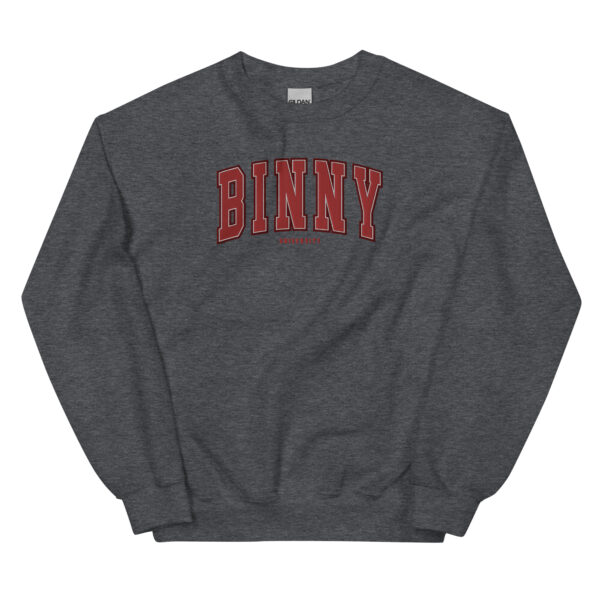 Unisex BINNY University Embroidered Sweatshirt - Image 5