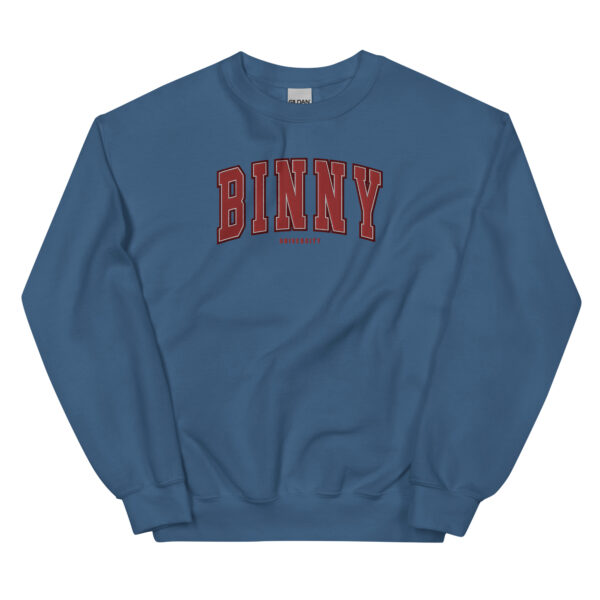 Unisex BINNY University Embroidered Sweatshirt - Image 7
