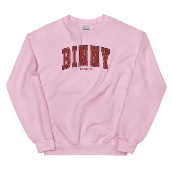 Unisex BINNY University Embroidered Sweatshirt - Image 11