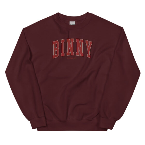 Unisex BINNY University Embroidered Sweatshirt - Image 3