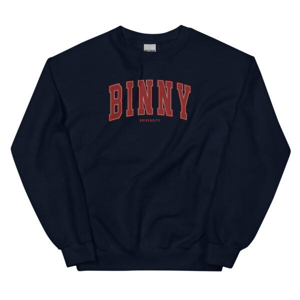 Unisex BINNY University Embroidered Sweatshirt - Image 2