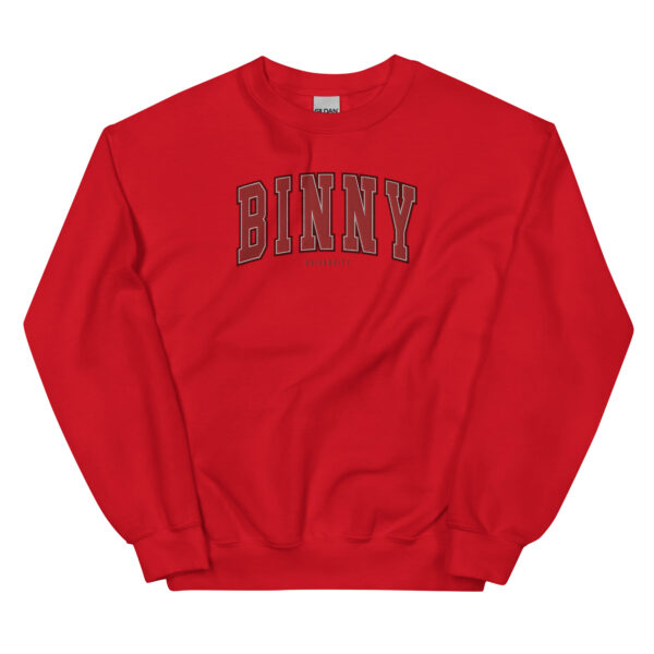 Unisex BINNY University Embroidered Sweatshirt - Image 4