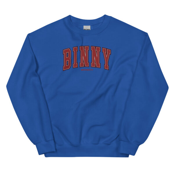 Unisex BINNY University Embroidered Sweatshirt - Image 6
