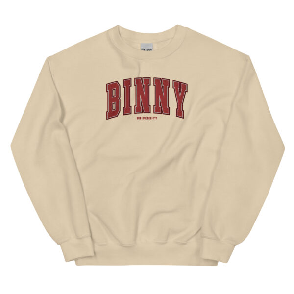 Unisex BINNY University Embroidered Sweatshirt - Image 10
