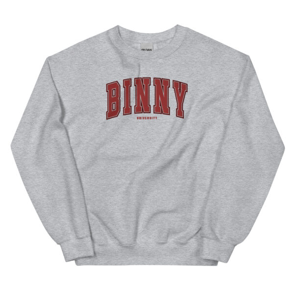 Unisex BINNY University Embroidered Sweatshirt - Image 9