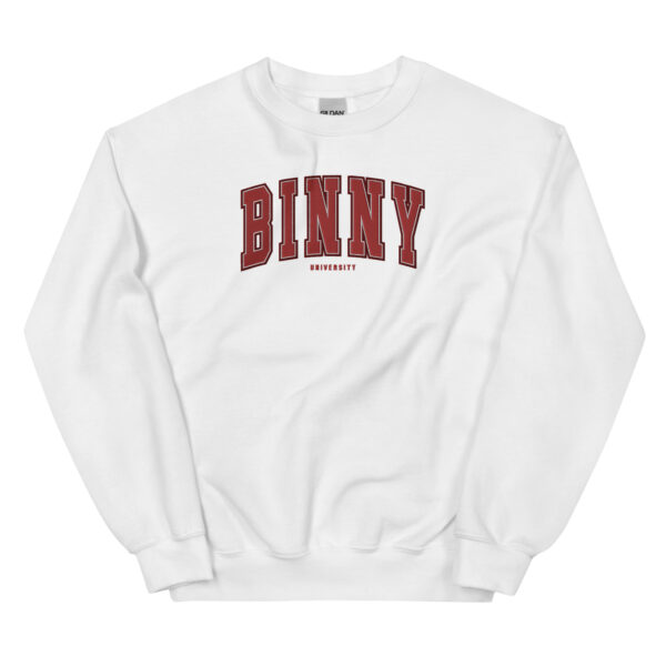 Unisex BINNY University Embroidered Sweatshirt - Image 12